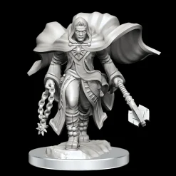 WizKids Aasimar Male Cleric (Wave 20) Dungeons & Dragons Nolzurs Marvelous Unpainted Miniature* Karakterer