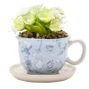 Disney Home Collection Alice Teacup Planter with Faux Plant* Vaser