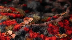 Gamers Grass Alien Blood Moon Wild 6mm* Basing & Modellering