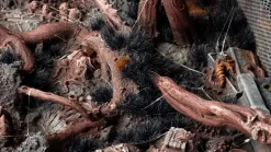 Gamers Grass Alien Void Wild 6mm* Basing & Modellering