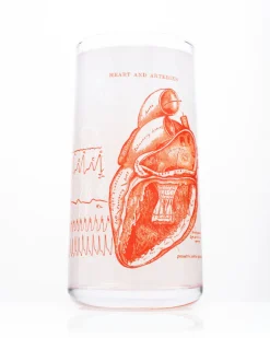 Science Homeware Anatomical Heart Drinking Glass* Glass