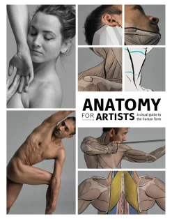 3DTotal Publishing Tegnebøker^Anatomy for Artists: A visual guide to the human form