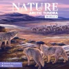 Dominic Crapuchettes Strategi^Arctic Tundra Expansion