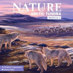 Dominic Crapuchettes Strategi^Arctic Tundra Expansion