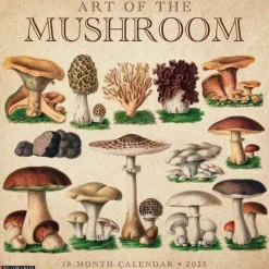 Willow Creek Press Art of the Mushroom 2026 Wall Calendar* Kalendere