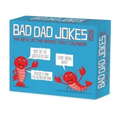 Willow Creek Press Bad Dad Jokes 2026 Box Calendar* Kalendere