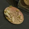 Gamers Grass Badlands Bases Oval 105 mm (1)* Basing & Modellering