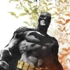 Tom King Batman: The Deluxe Edition Book 5* Batman