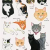 Jane Mount Bibliophile Flexi Journal: Bookstore Cats* Spill Og Aktiviteter