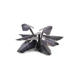 Gamers Grass Black Magic Taro Laser Plants* Basing & Modellering