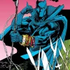 Denys Cowan Black Panther^Black Panther: Panther's Prey Omnibus