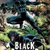 Don McGregor Black Panther: Panther's Quest* Black Panther