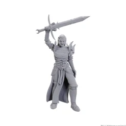 WizKids Blackguard (Wave 25)* Monstere|Tilbehør