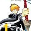 Taito Kubo Bleach ( 1)* Bleach