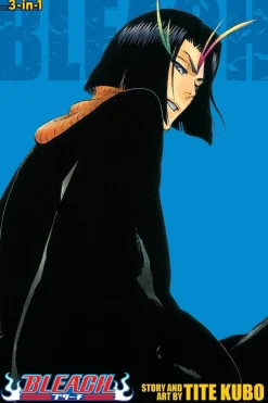 Tite Kubo Bleach^Bleach (3-in-1 Edition), Vol. 13