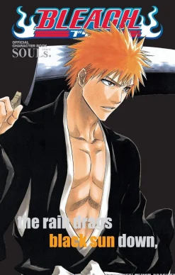 Tite Kubo Bleach^Bleach SOULs. Official Character Book