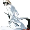 Tite Kubo Bleach, Vol. 22* Bleach
