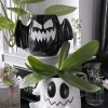 Haunted Homeware Vaser^Boo & Eek Planter Set of 2