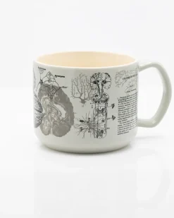 Science Homeware Brain Anatomy Ceramic Mug 450 ml* Krus