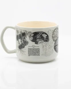 Science Homeware Brain Anatomy Ceramic Mug 450 ml* Krus