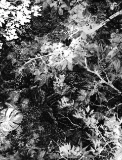 Oliver K Langmead Calypso* Science Fiction