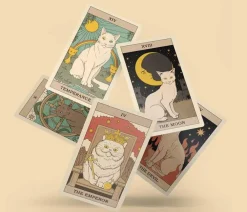 Catherine Davidson Kropp, Sinn, & Sjel^Cats Rule the Earth Tarot: 78-Card Deck and Guidebook for the Feline-Obsessed