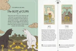 Catherine Davidson Kropp, Sinn, & Sjel^Cats Rule the Earth Tarot: 78-Card Deck and Guidebook for the Feline-Obsessed