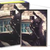 Catwoman Brushed Art Standard Size (100) Kortlommer, Dragon Shield* Kortlommer