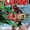 Roy Thomas Conan Barbarian Original Omni Reg Vol. 02* Fantasy
