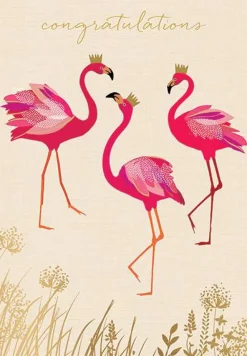 Congrats Flamingos* Kort, Bursdag & Anledning