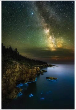 James Trefil Filosofi & Livsstil^Cosmic Queries: StarTalk's Guide to Who We Are, How We Got Here, and Where We're Going