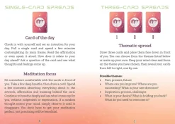 Ellie Grant Kropp, Sinn, & Sjel^Cowgirls and Aliens Oracle: Intuitive guidance to heal your soul