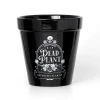 Dead Plant Plant Pot* Vaser