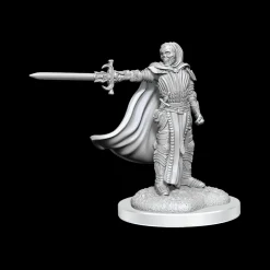 WizKids Monstere^Death Knights (Wave 20) Dungeons & Dragons Nolzurs Marvelous Unpainted Miniature
