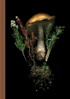 Julya Hajnoczky Deep Dark Forest Mushroom Journal* Spill Og Aktiviteter