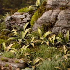 Gamers Grass Basing & Modellering^Deer Fern Laser Plants