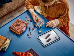 LEGO Harry Potter Den glefsende Monsterboken om monstre (76449)* Lego