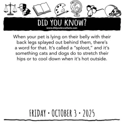 LLC Everhance Did You Know? 2025 Day-to-Day Calendar* Spill Og Aktiviteter