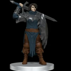 WizKids Monstere^Dragon Army Warband Icons of the Realms Premium Painted Miniatures