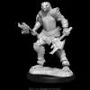 WizKids Karakterer^Dragonborn Female Fighter (Wave 15) Dungeons & Dragons Nolzurs Marvelous Unpainted Miniature Figur