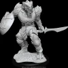 WizKids Dragonborn Male Fighter (Wave 15) Dungeons & Dragons Nolzurs Marvelous Unpainted Miniature Figur* Karakterer