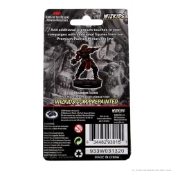 WizKids Dragonborn Male Fighter (Wave 3) Icons of the Realms Premium Painted Miniatures Figur* Karakterer