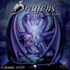 Flame Tree Studio Dragons by Anne Stokes Wall Calendar 2026 (Art Calendar)* Kalendere
