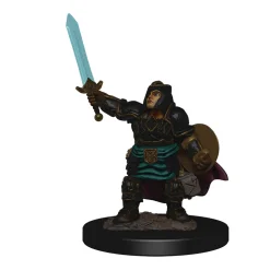 WizKids Dwarf Female Paladin (Wave 4) Icons of the Realms Premium Painted Miniatures Figur* Karakterer