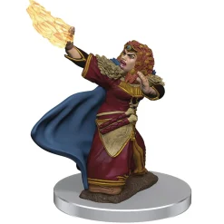 WizKids Dwarf Female Wizard (Wave 7) Icons of the Realms Premium Painted Miniatures Figur* Karakterer