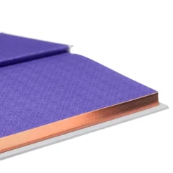 Frederich Nietzsche Filosofi & Livsstil^Ecce Homo: Gilded Pocket Edition