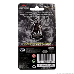WizKids Elf Female Cleric Icons of the Realms Premium Painted Miniatures Figur* Karakterer