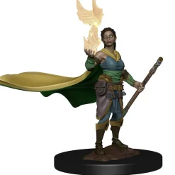WizKids Elf Female Druid (Wave 1) Icons of the Realms Premium Painted Miniatures Figur* Karakterer