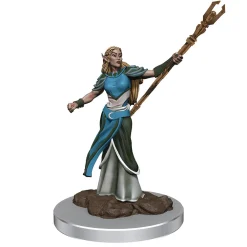 WizKids Karakterer^Elf Female Sorceror (Wave 7) Icons of the Realms Premium Painted Miniatures Figur