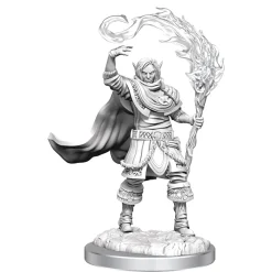 WizKids Elf Male Cleric (Wave 16) Dungeons & Dragons Nolzurs Marvelous Unpainted Miniature Figur* Karakterer